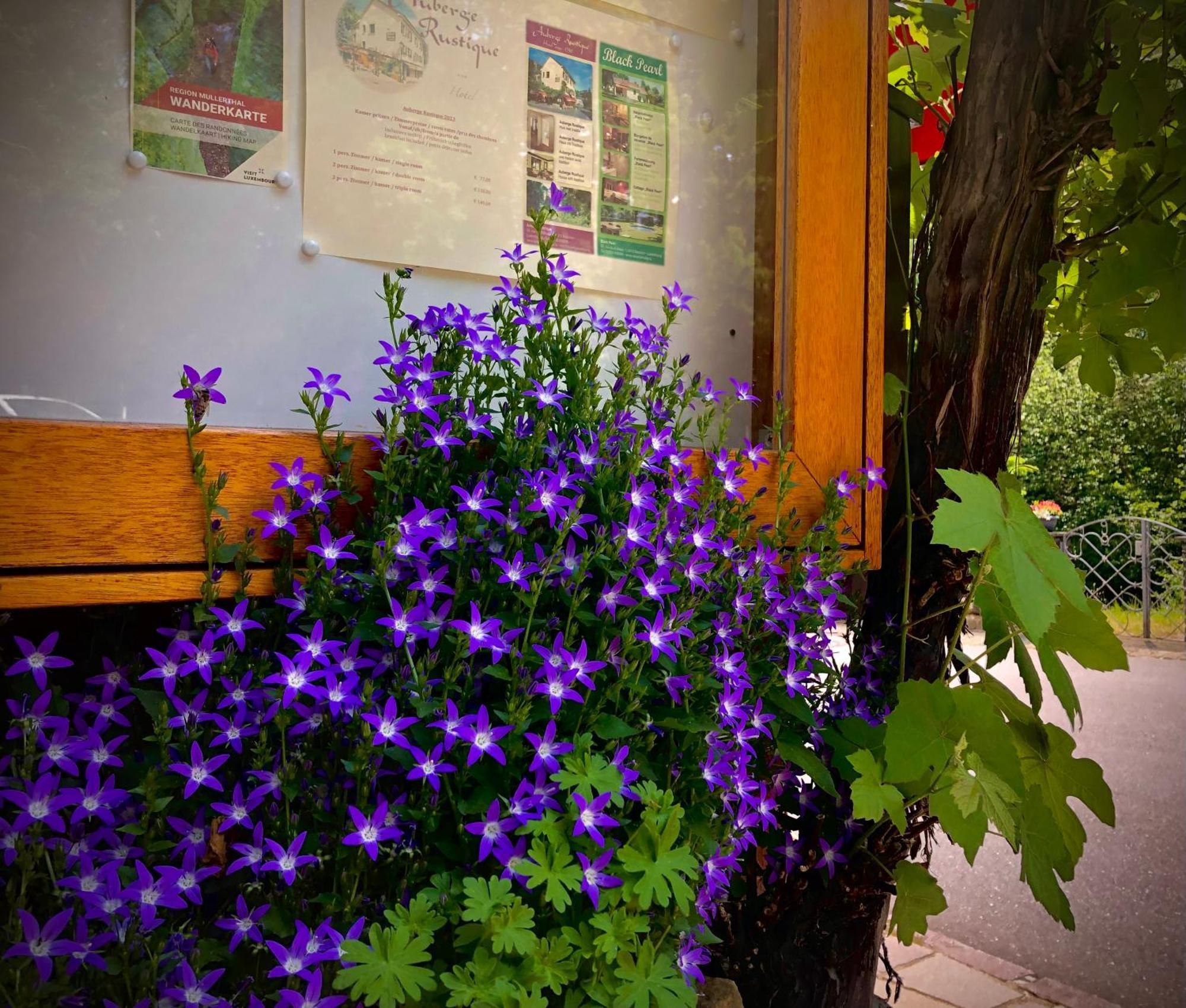 Hotel Auberge Rustique Beaufort Eksteriør billede